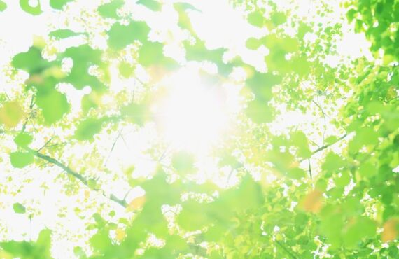 ゴミ屋敷のゴミ処理を整理整頓綺麗にお片付け致します。